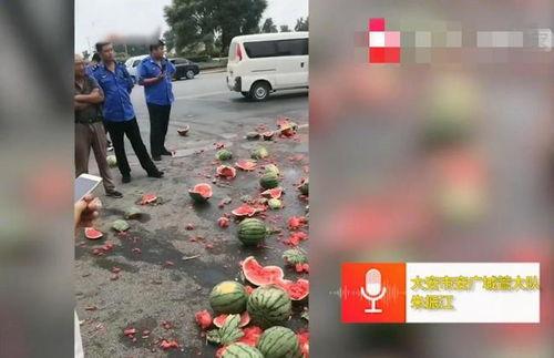 温县网红吃瓜事件视频,一场网络狂欢背后的真相揭秘