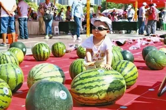 51大赛吃瓜网反差