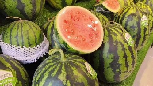 摆摊男网红吃瓜,揭秘娱乐圈幕后真相