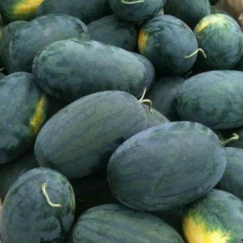 网红黑资吃瓜,揭秘网红黑资背后的吃瓜真相