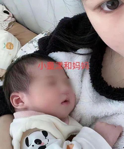 吃瓜事件网红儿子,揭秘事件背后真相