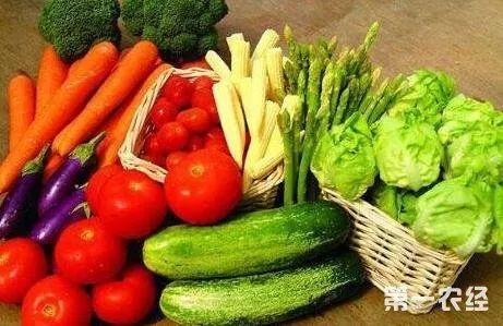 网红瓜哪里吃美食,探寻隐藏在瓜果香里的美味天堂