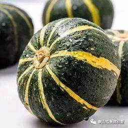 内蒙古网红吃瓜视频大全,趣味横生，笑料百出