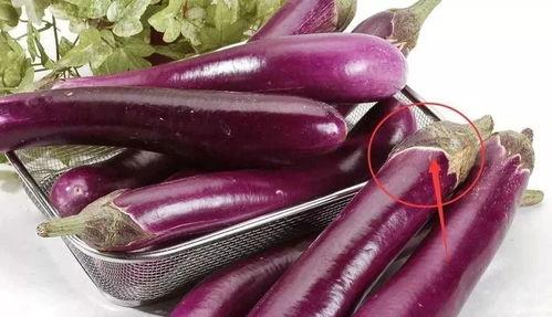 茄子吃瓜网请验证后访问