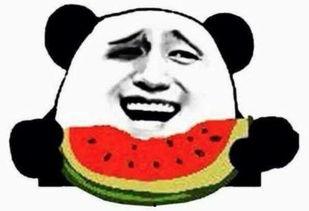 最新吃瓜群众免费吃瓜网,免费吃瓜群众免费吃瓜网带你畅游瓜田