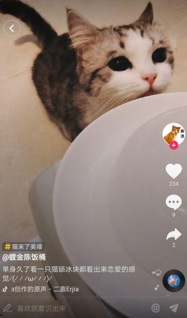 吃瓜猫抖音网红叫什么,抖音网红的瓜田奇遇记