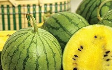 如何辨别吃瓜官网的真伪,教你轻松辨别真伪