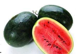 中卫网红如何吃瓜视频