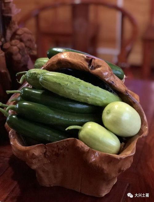 云南怒江网红吃瓜,揭秘当地特色美食背后的故事