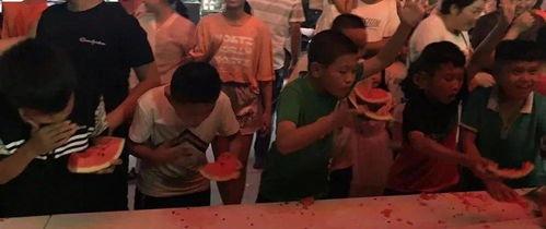 网红熊吃瓜大赛,一场爆笑与美食的狂欢盛宴