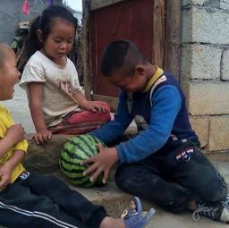 网课兄妹吃瓜,揭秘虚拟课堂中的甜蜜与争议