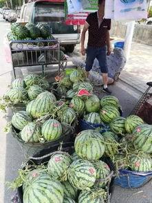 交城吃瓜事件网红